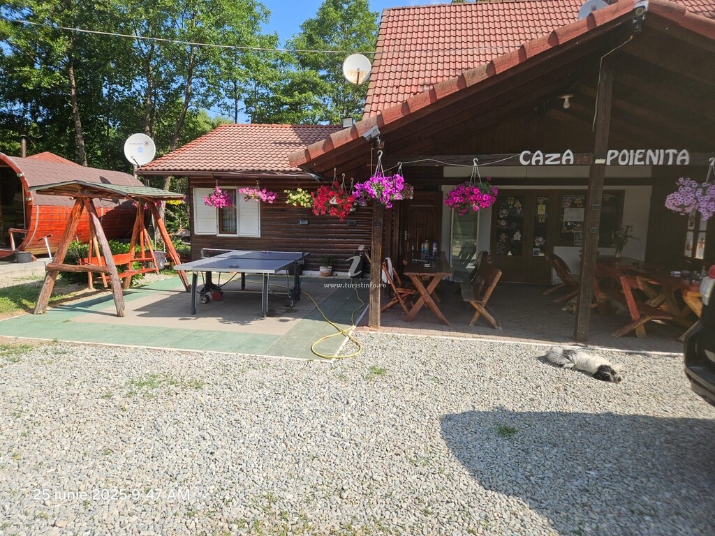 Camere de închiriat Casa Poienița