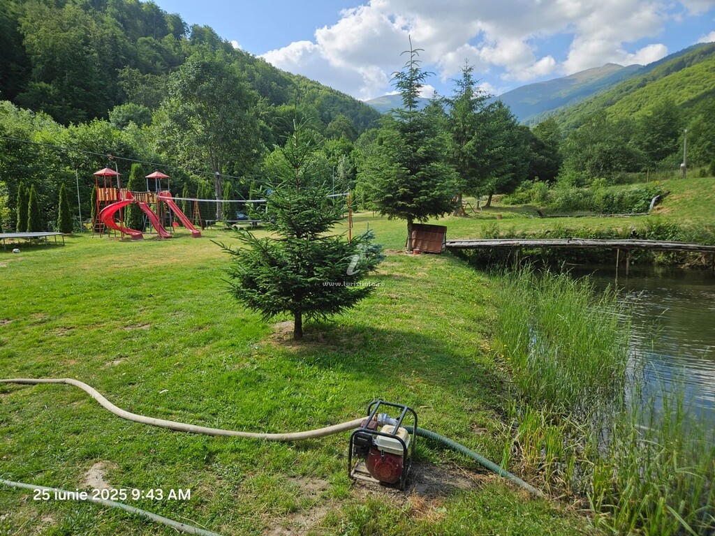 Camere de închiriat Casa Poienița