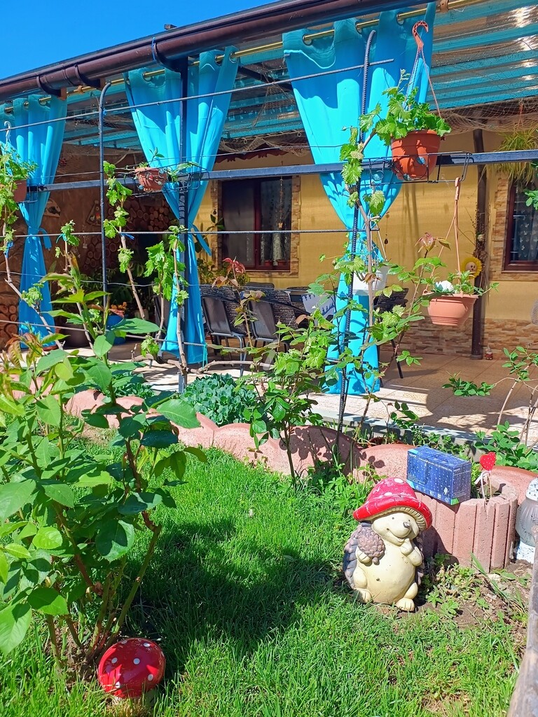 Camere de închiriat Casa Veselă