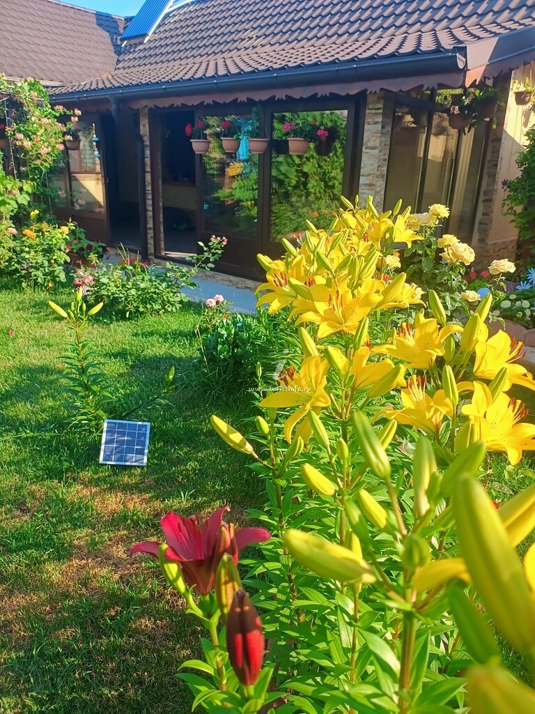 Camere de închiriat Casa Veselă