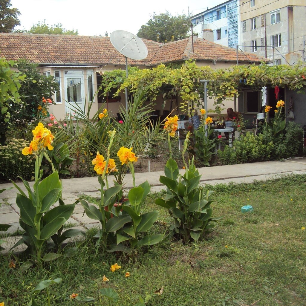 Casa Efendi