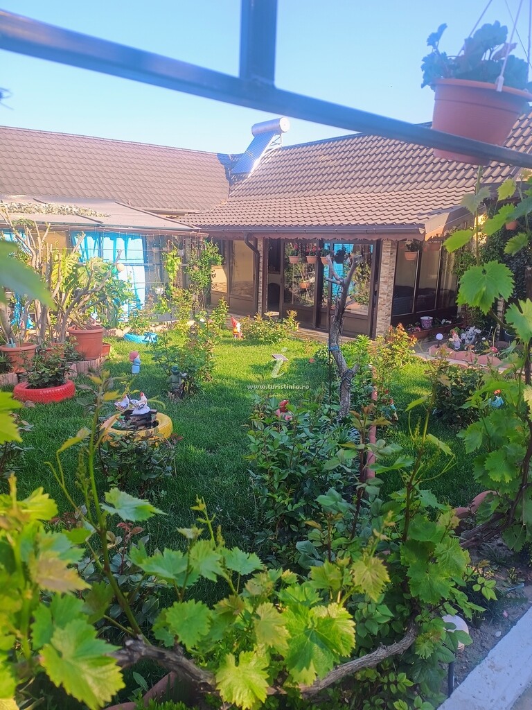 Camere de închiriat Casa Veselă