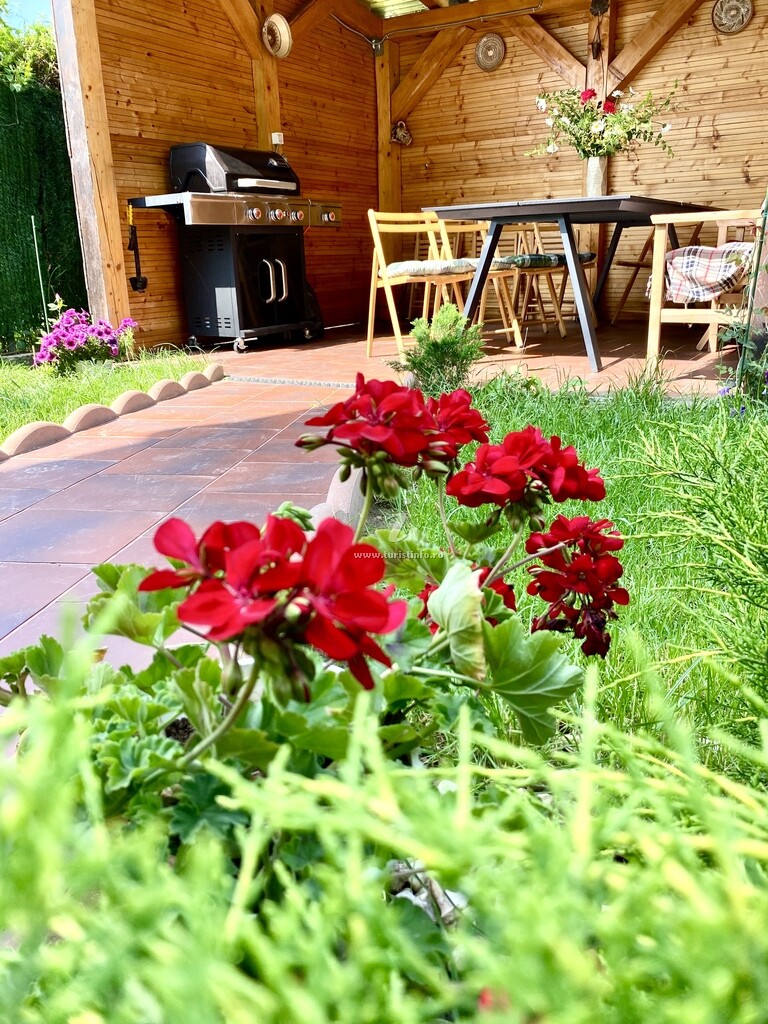 Apartament Suveranii