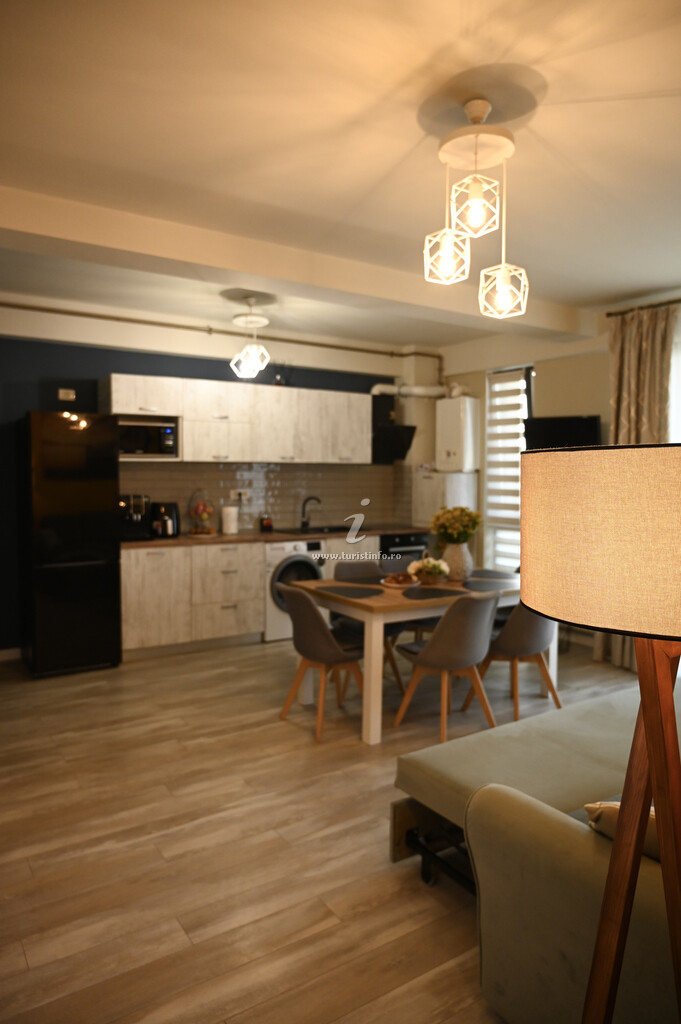 Apartament Raluca Dreaming 2