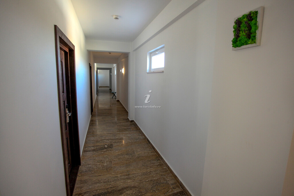 Camere de închiriat Lavander Boutique