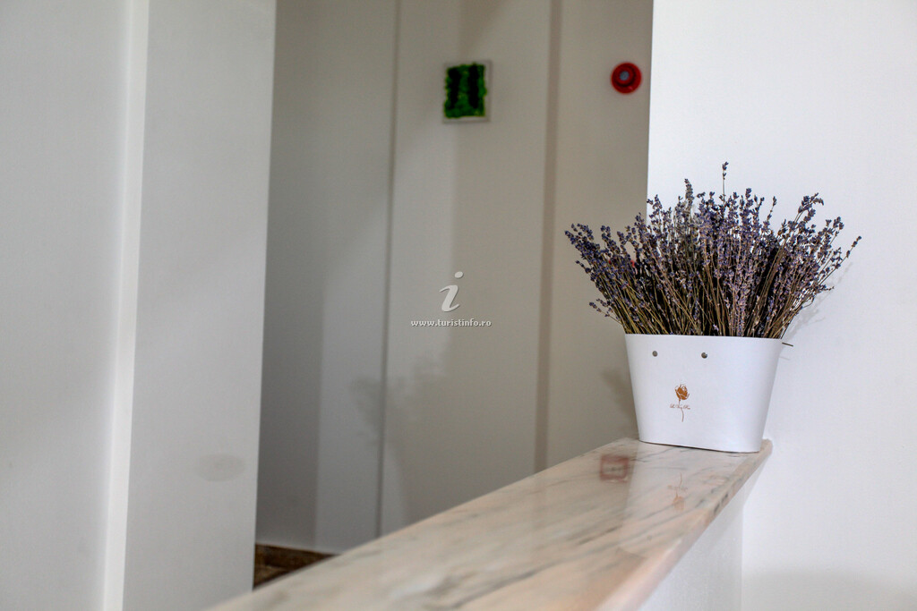 Camere de închiriat Lavander Boutique