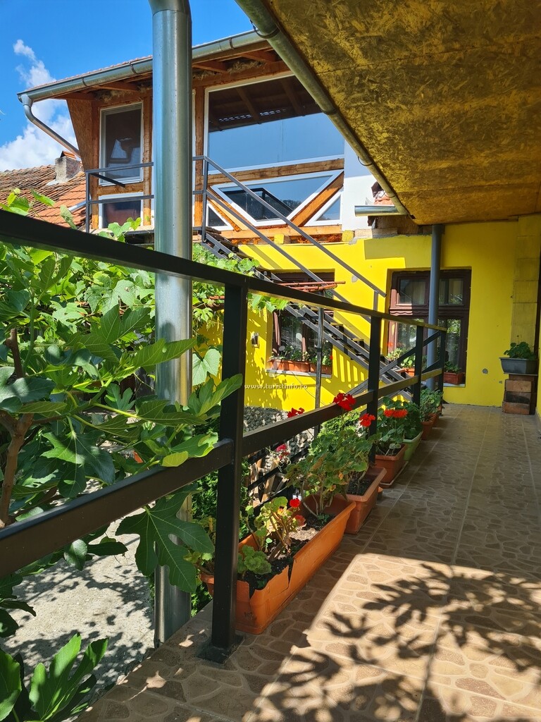 Casa Galbena