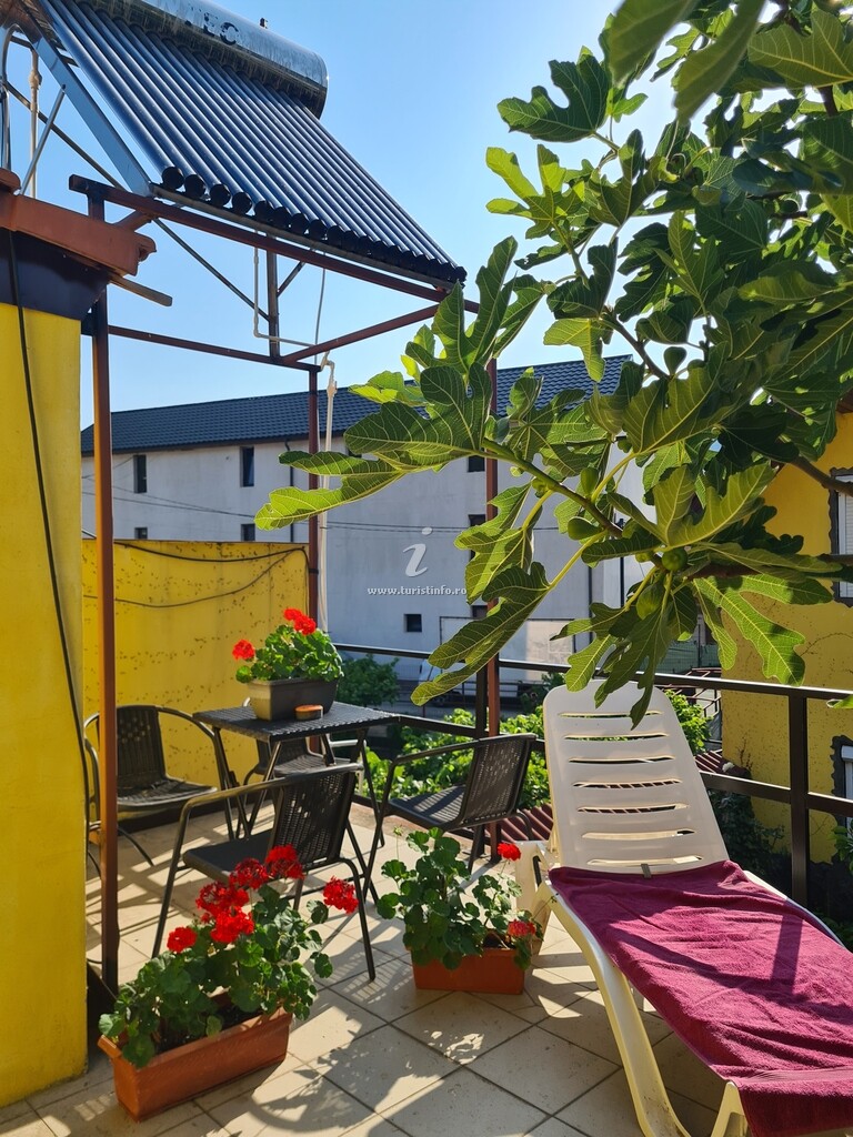 Casa Galbena