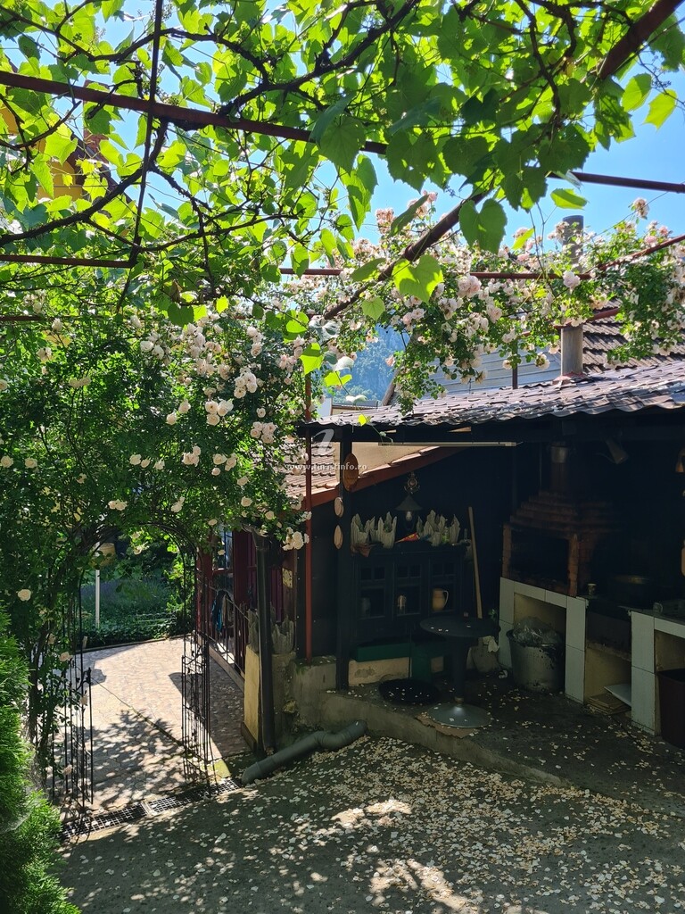 Casa Galbena