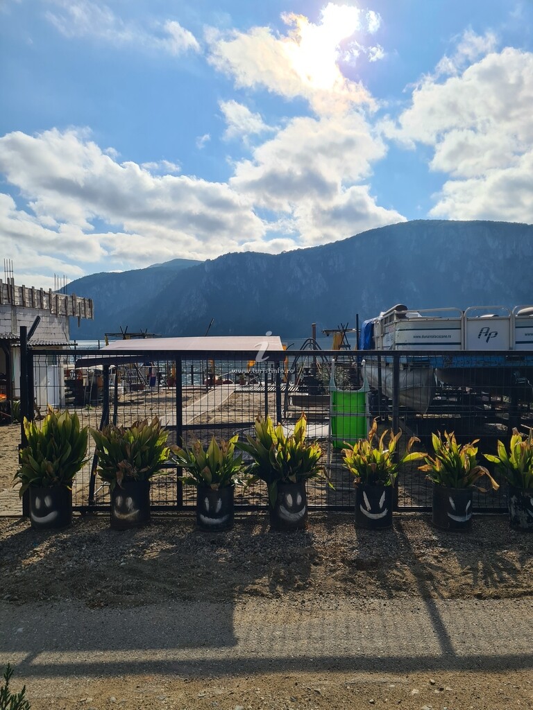 Casa Galbena