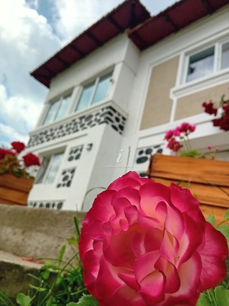 Casa Mara