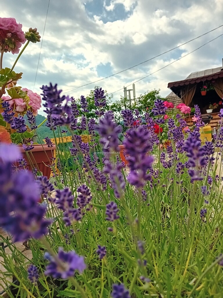 Casa Mara