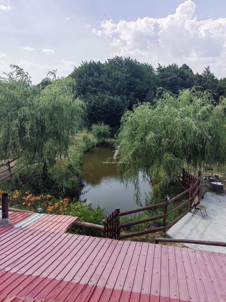 La Conacul lu` Băran