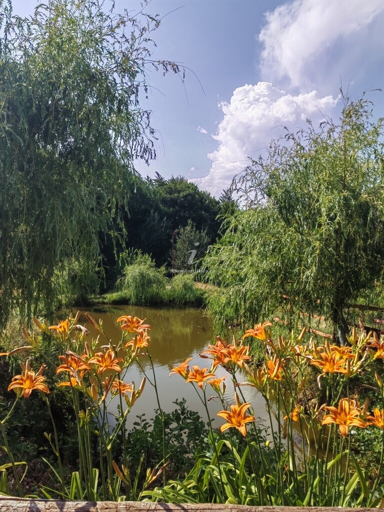La Conacul lu` Băran