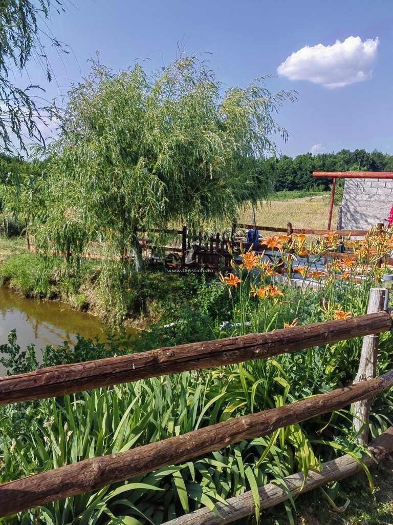 La Conacul lu` Băran