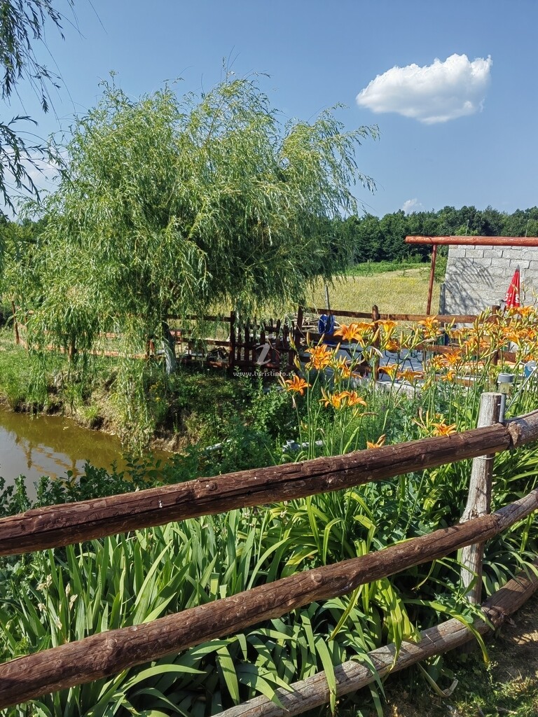 La Conacul lu` Băran