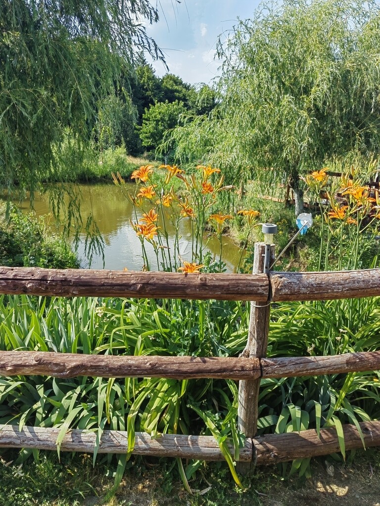 La Conacul lu` Băran