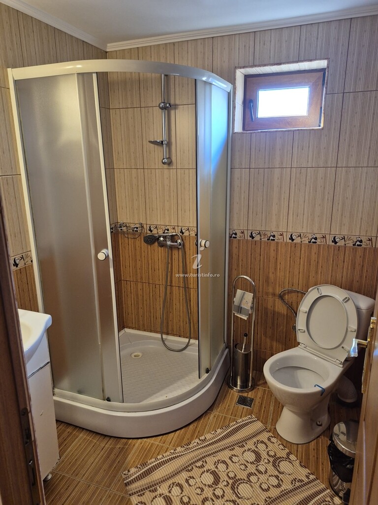 Casa Trifan