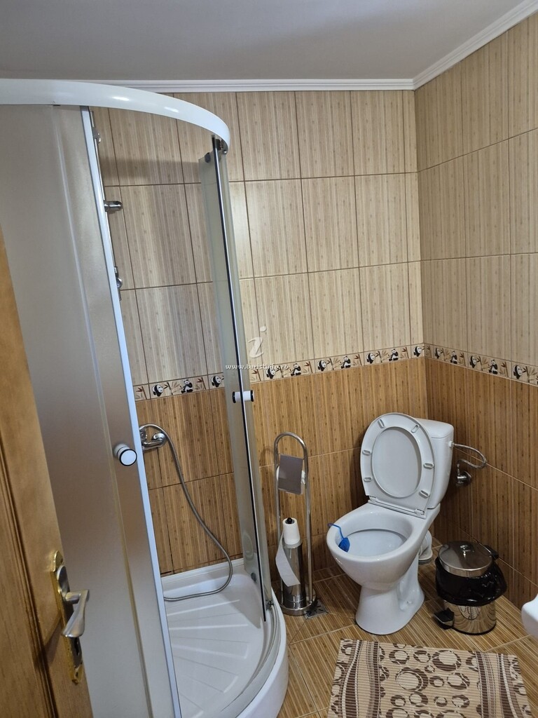 Casa Trifan