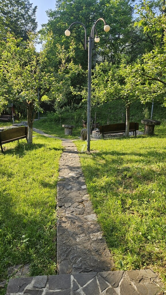 Pensiunea Căprioara