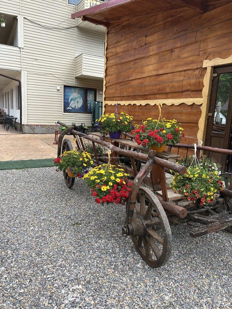 Hostel Ștefănel