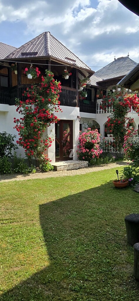 Casa Lucian