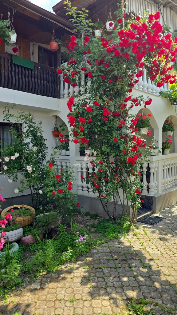 Casa Lucian
