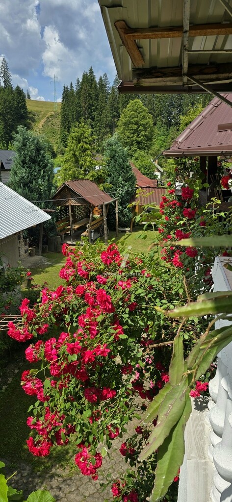 Casa Lucian