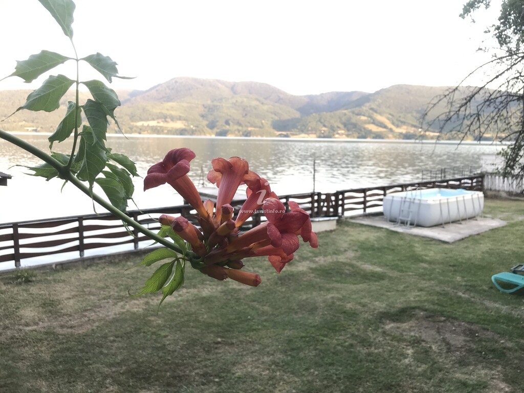 Casa de vacanță Mala