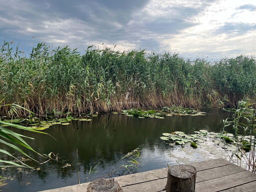Casa de pe Lac
