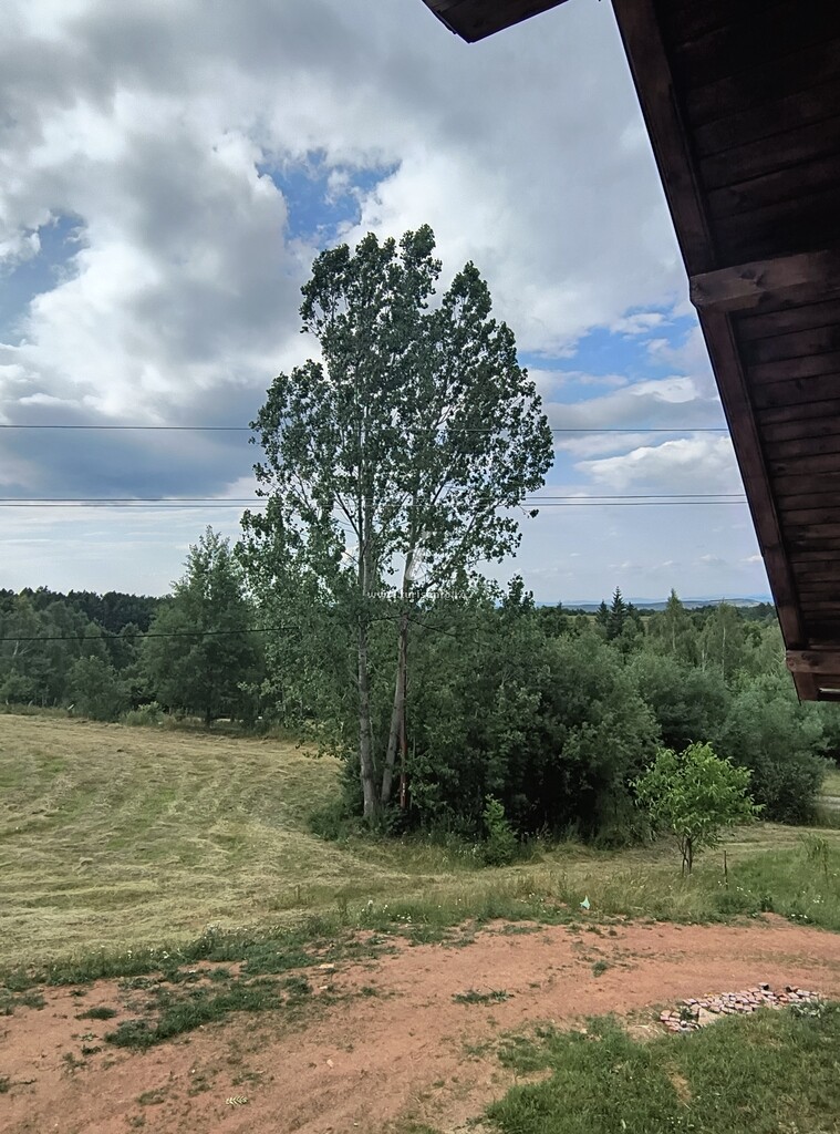 Cabana din Bușuc