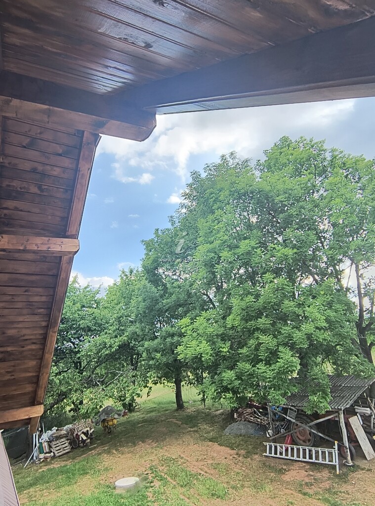 Cabana din Bușuc