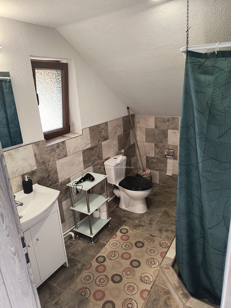 Cabana din Bușuc