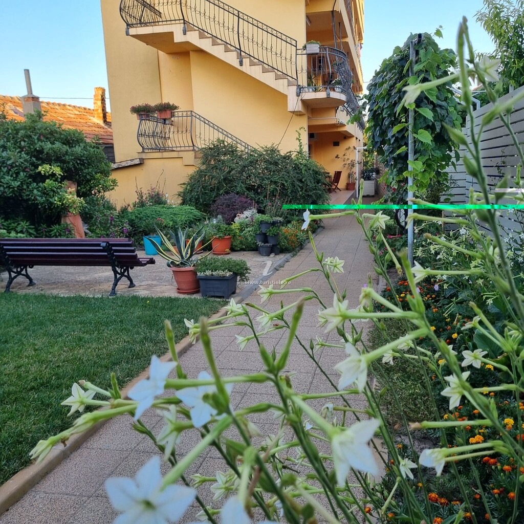 Casa Carina