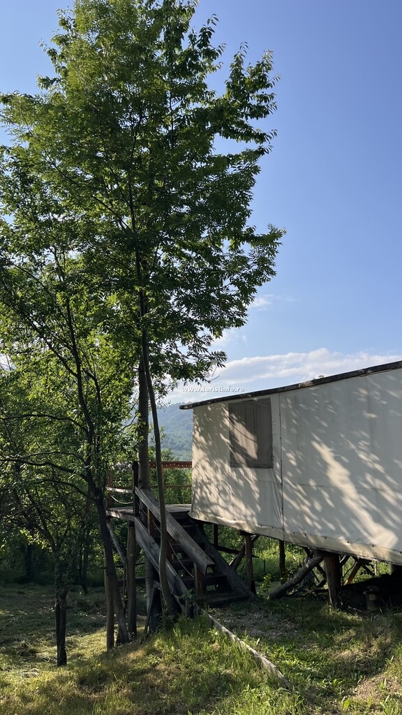 Camping Mesteceni Glamping