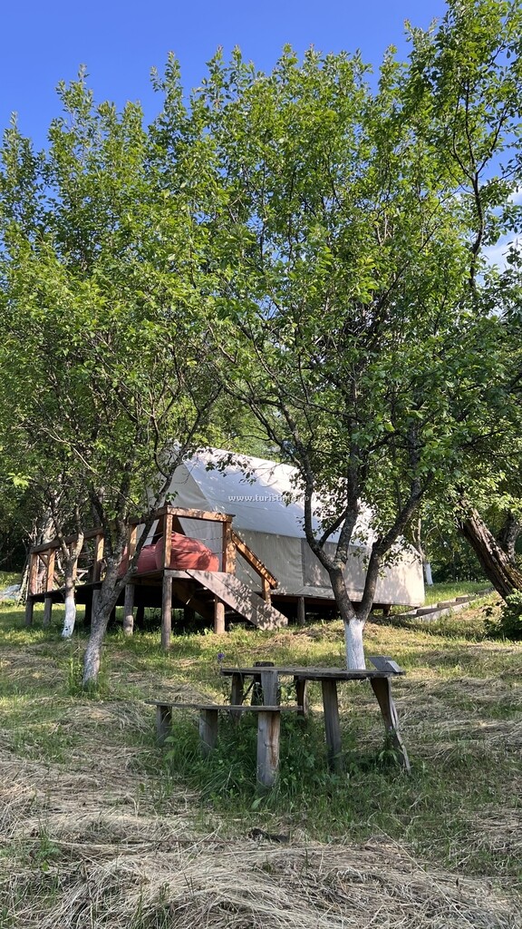 Camping Mesteceni Glamping