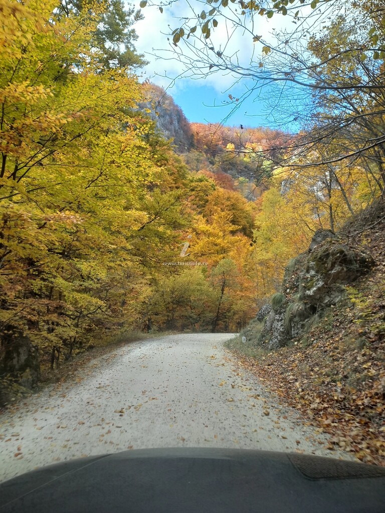 Pensiunea Inima Munților