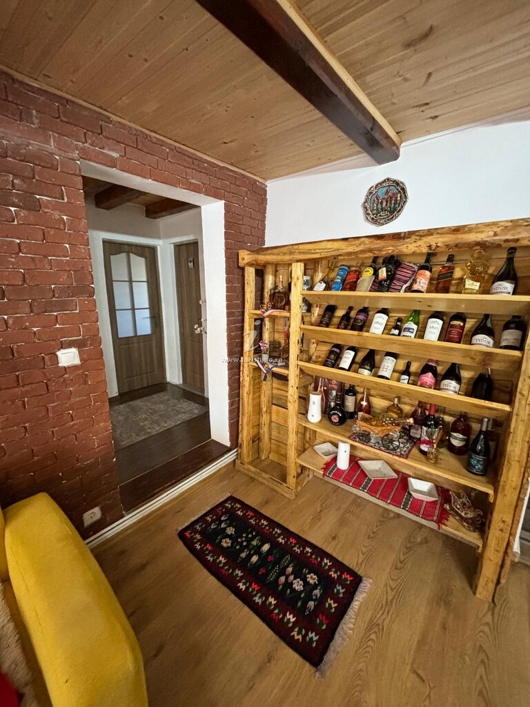 Cabana Tudor