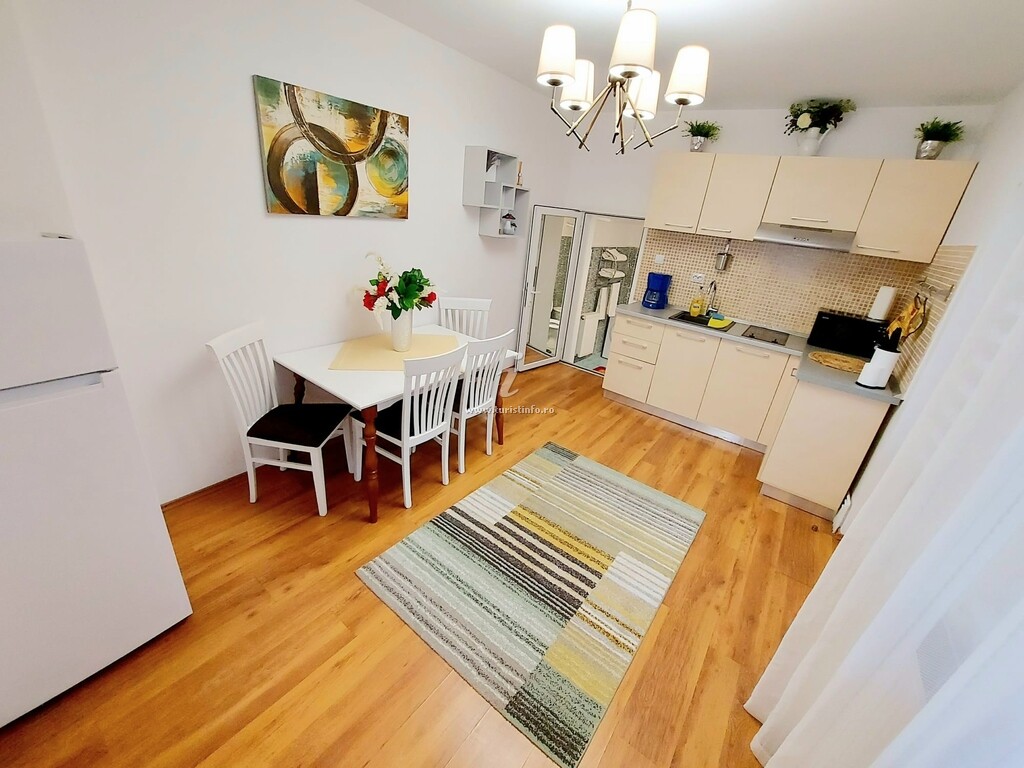 Casa Dușa - Apartament Crisstina