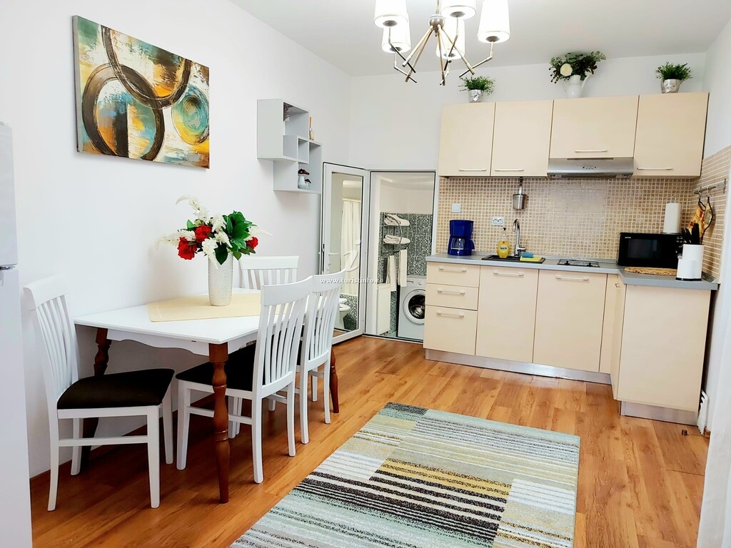 Casa Dușa - Apartament Crisstina