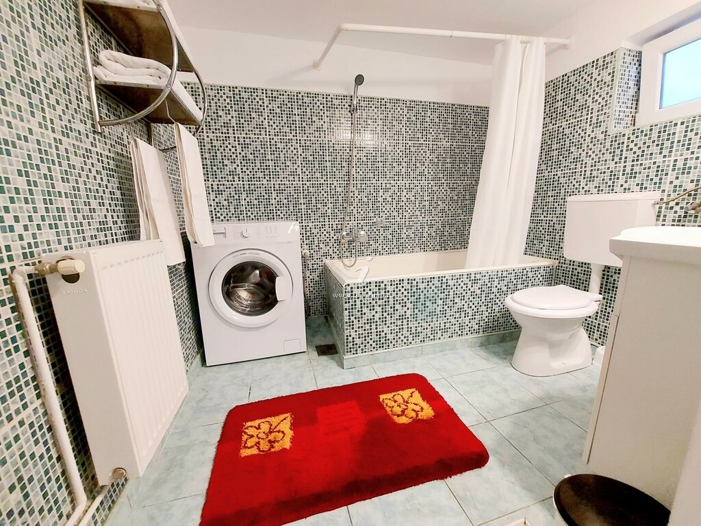 Casa Dușa - Apartament Crisstina