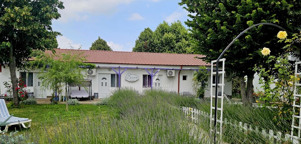 Casa La Fluturi