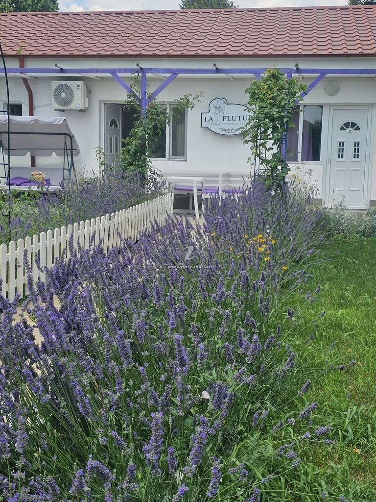 Casa La Fluturi