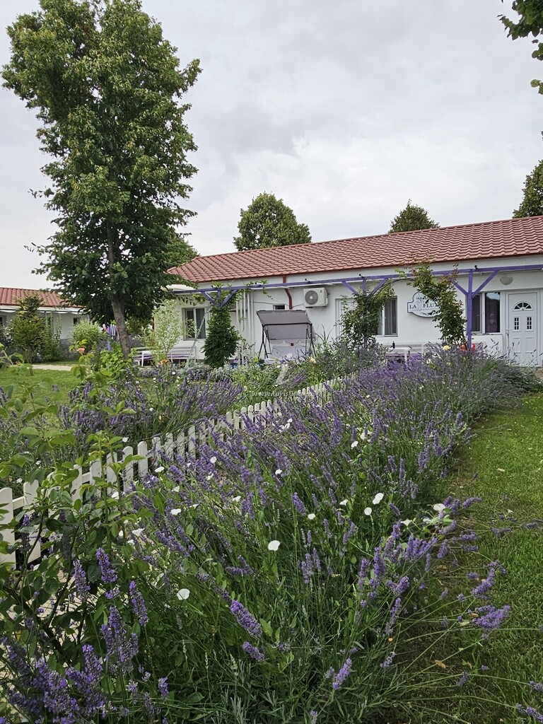 Casa La Fluturi