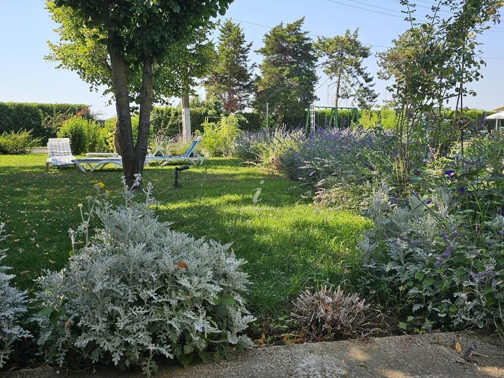 Casa La Fluturi