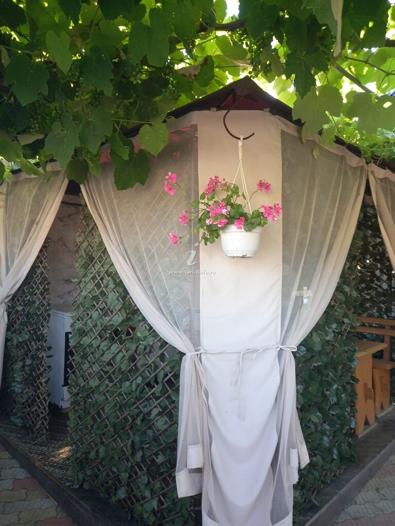 Camere de închiriat Casa Cu Nuci