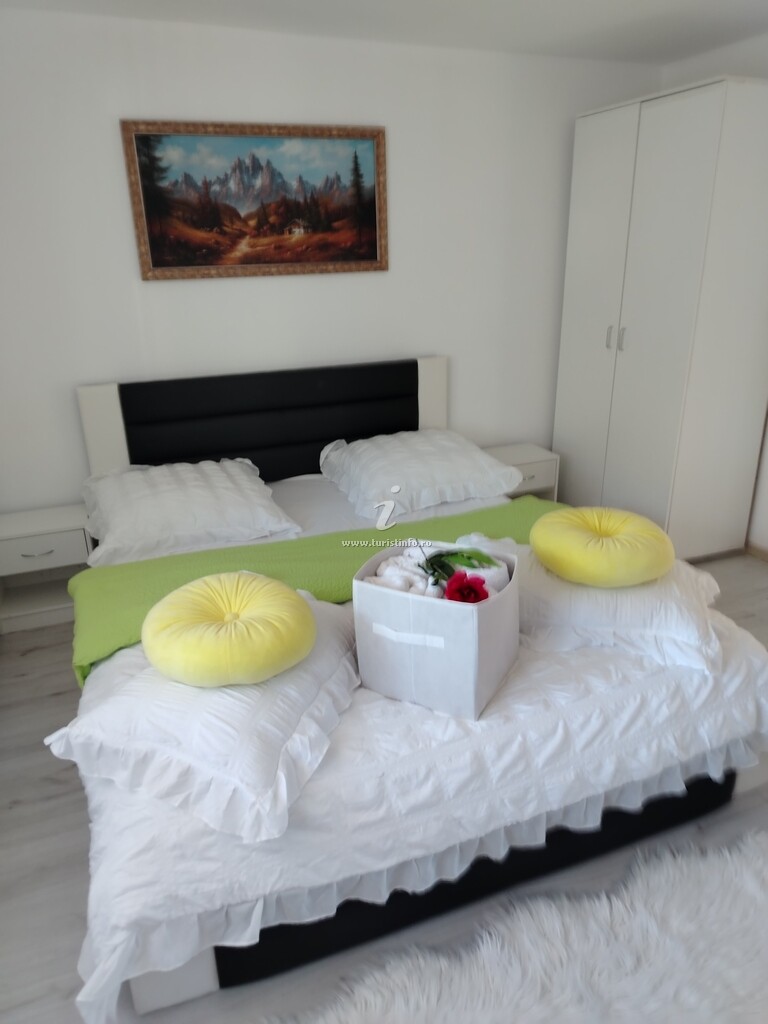 Casa din Munți