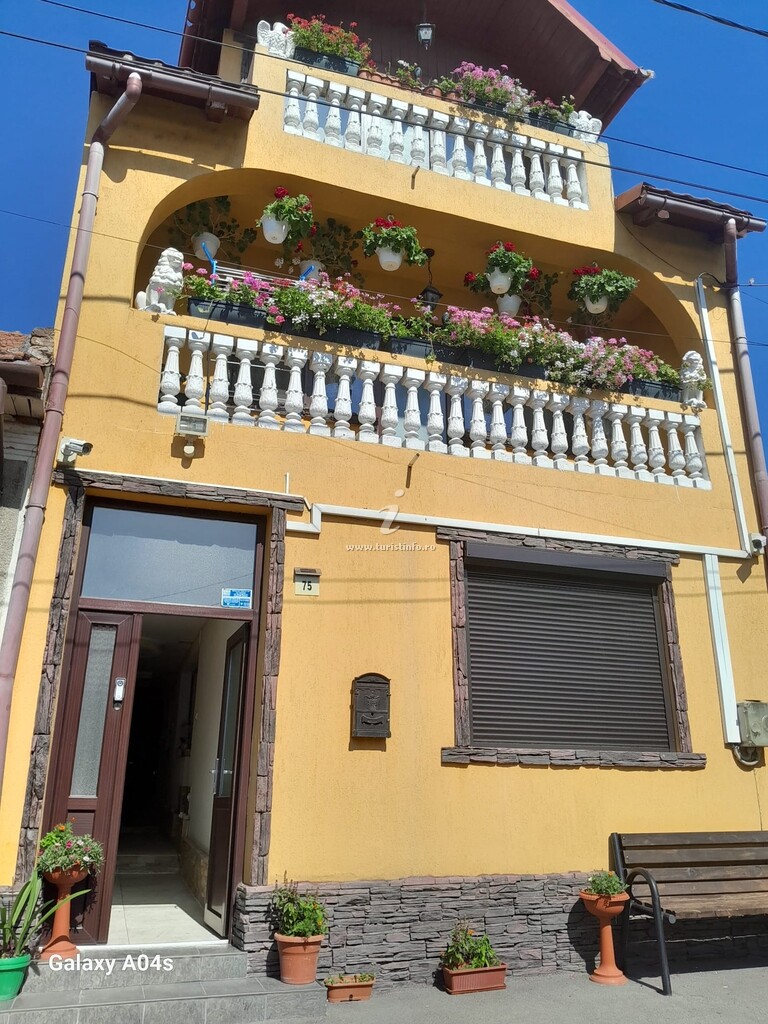 Casa Lenuța