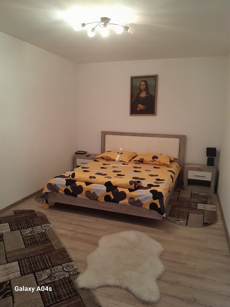 Casa Lenuța