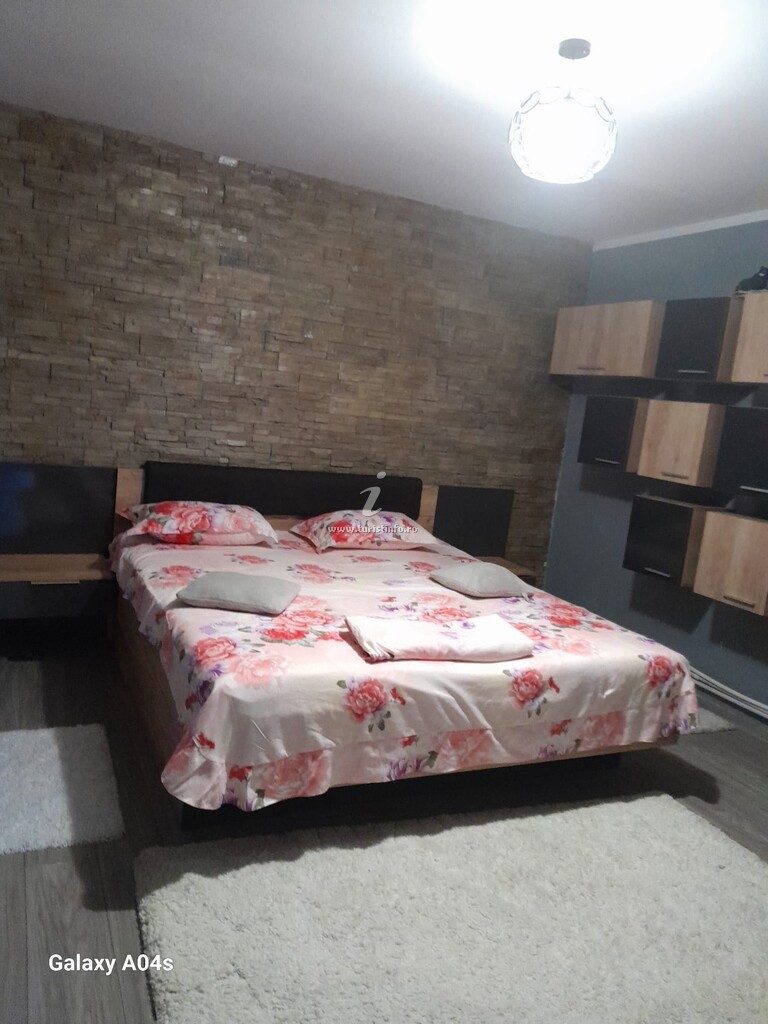 Casa Lenuța